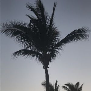 Meet your Posher, Anahi